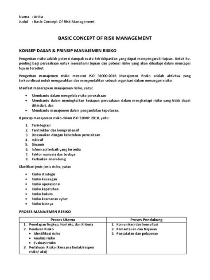 Understanding Risk Management: Essential PDF Guide