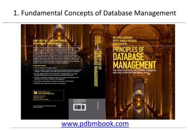Essential Concepts of Database Management PDF Guide