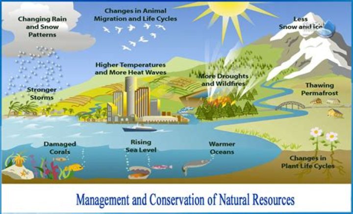 Conservation and Management of Natural Resources: A Comprehensive PDF Guide