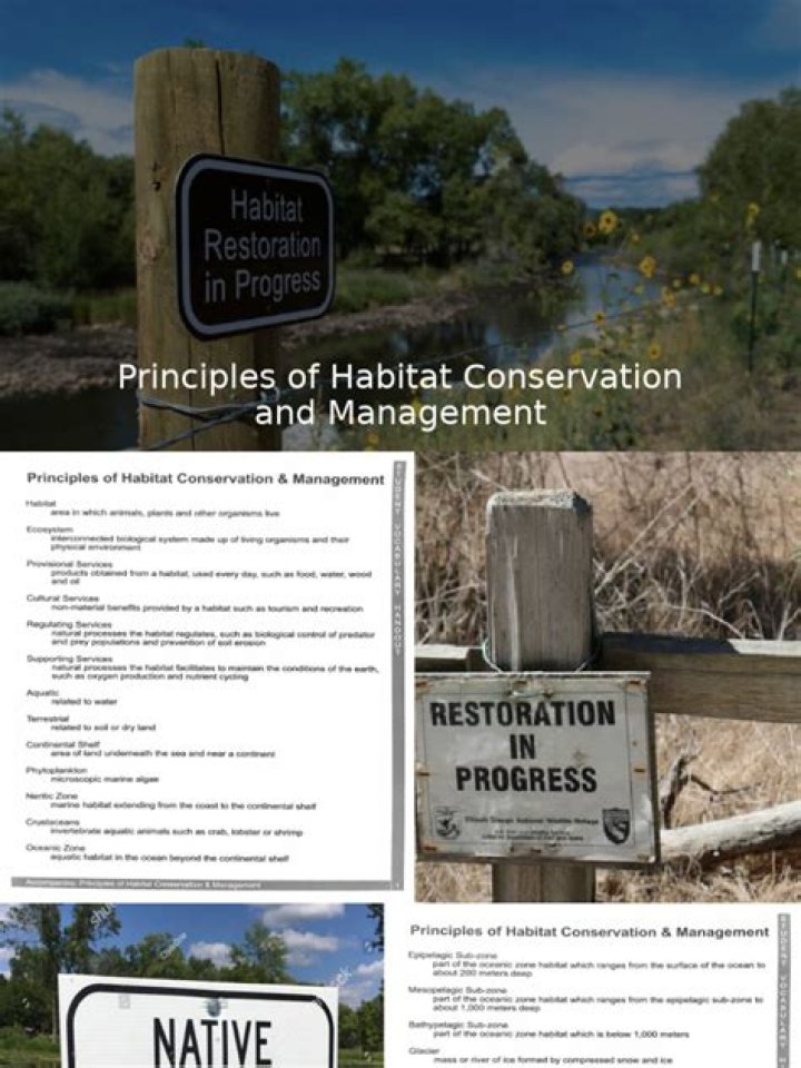 Conservation Management PDF: Essential Guide for Sustainable Practices