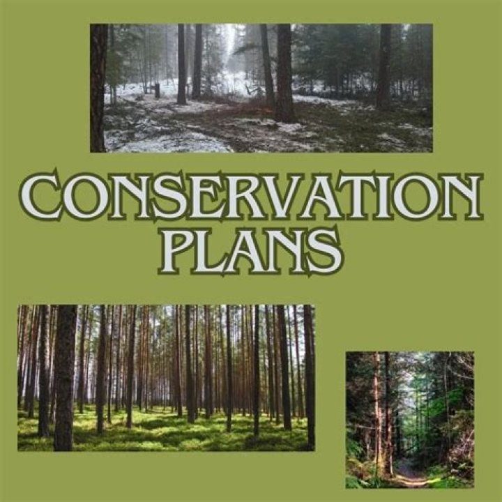 Conservation Management Plan Example PDF: Practical Guide & Templates