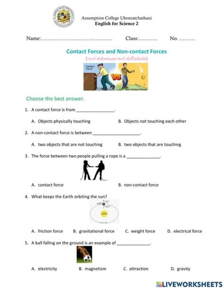 Free Contact & Non-Contact Forces Worksheet PDF – Download Now
