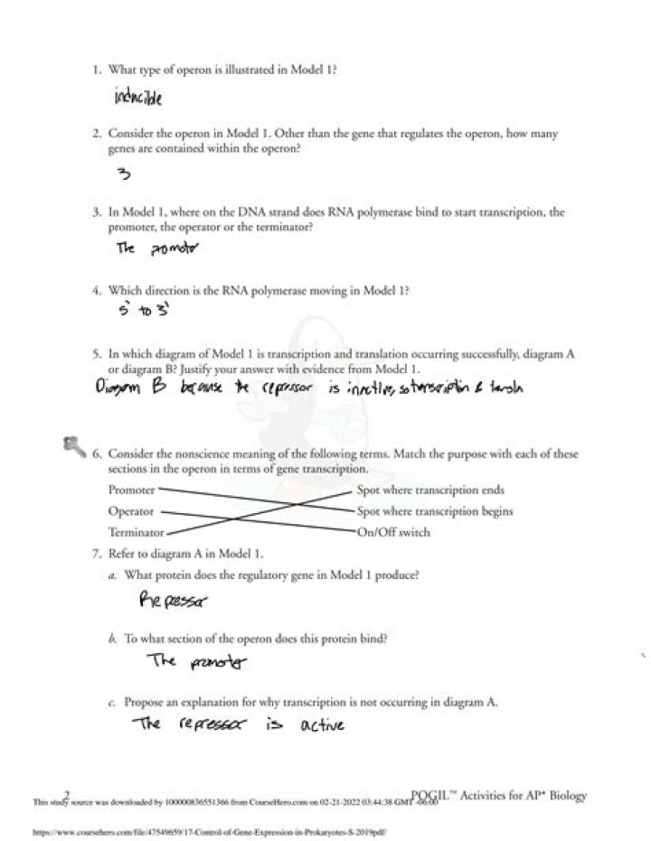 Control of Gene Expression in Prokaryotes – Key Pogil Answers PDF
