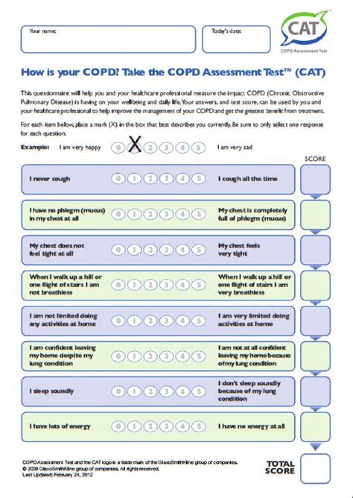 COPD Assessment Test for Cats – Download PDF Guide