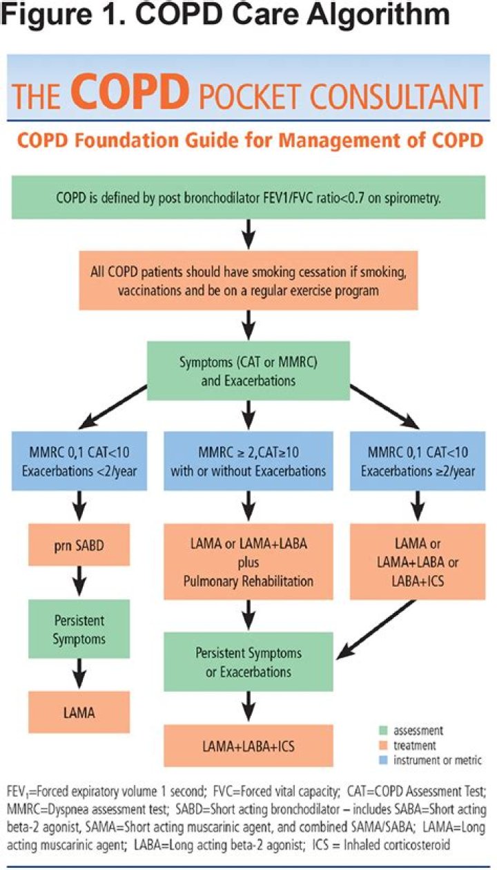 COPD Management Plan PDF: Essential Guide for Better Breathing