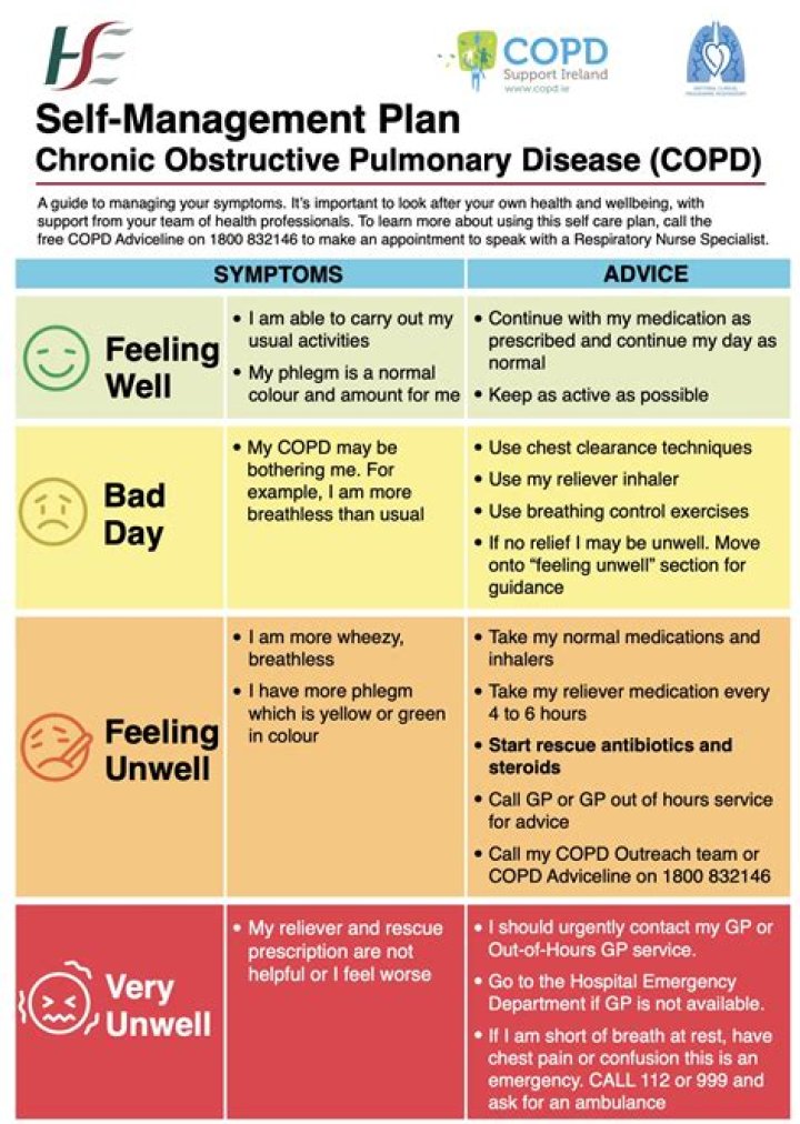 Effective COPD Self Management Plan PDF for Better Breathing