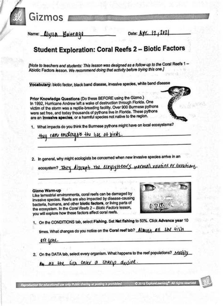 Coral Reef 2: Gizmo Answer Key PDF Activity C – Perfect Study Resource