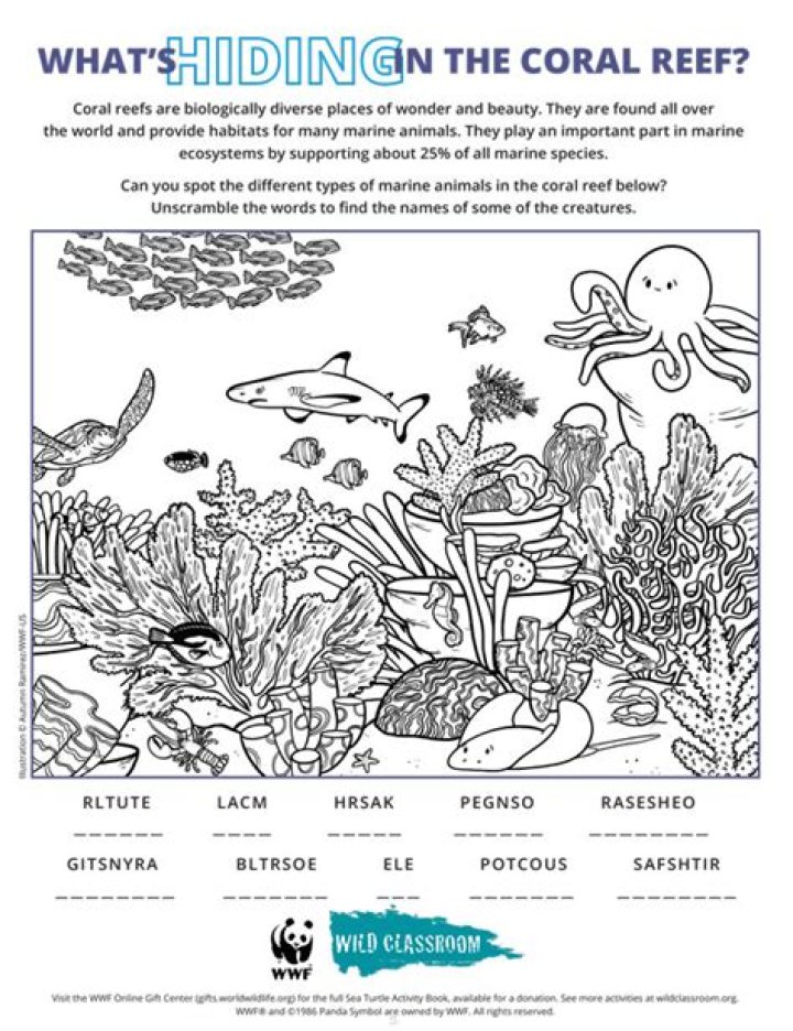 Free Coral Reef Worksheet PDF – Printable Science Activity