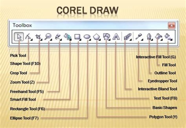 Complete Coreldraw Tools Name List PDF for Designers