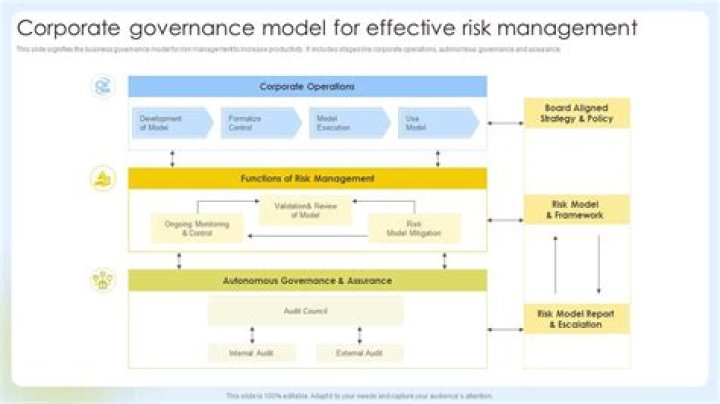 Corporate Governance and Risk Management PDF: Essential Compliance Guide