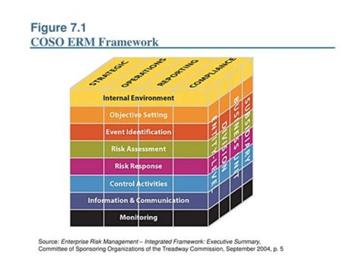 Coso ERM 2017 Framework Summary PDF: Essential Guide & Key Insights