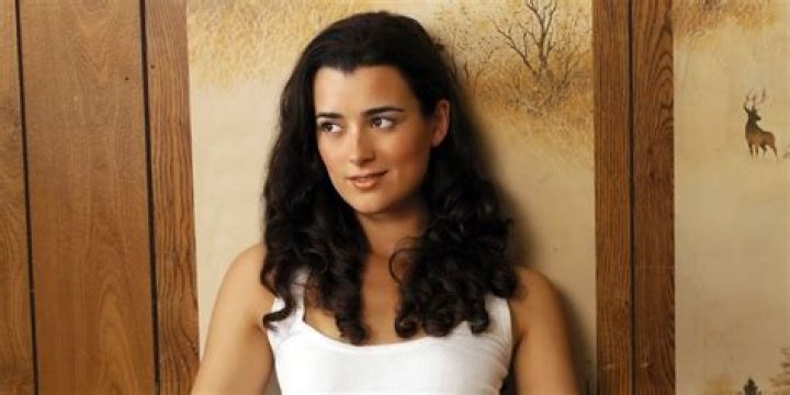 Cote de Pablo (Ziva) NCIS Photo (2680624) Fanpop