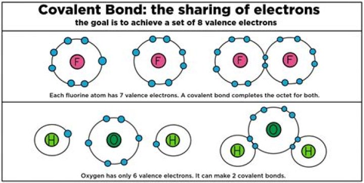 Covalent Bonding Test PDF: Complete Guide & Analysis