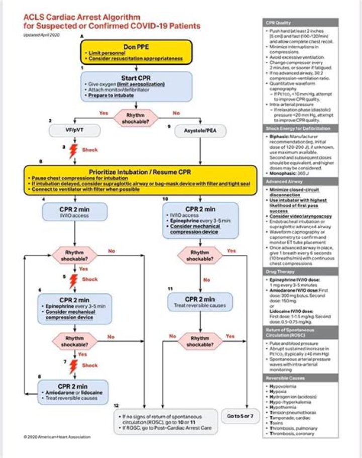 CPR Cheat Sheet 2023 PDF: Quick Reference for Emergency Care