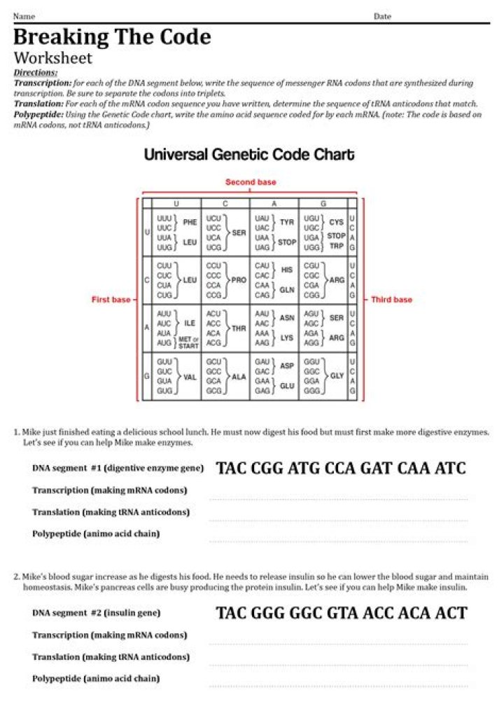 Decode Your Genetic Code with This Worksheet – Crack Your DNA Today