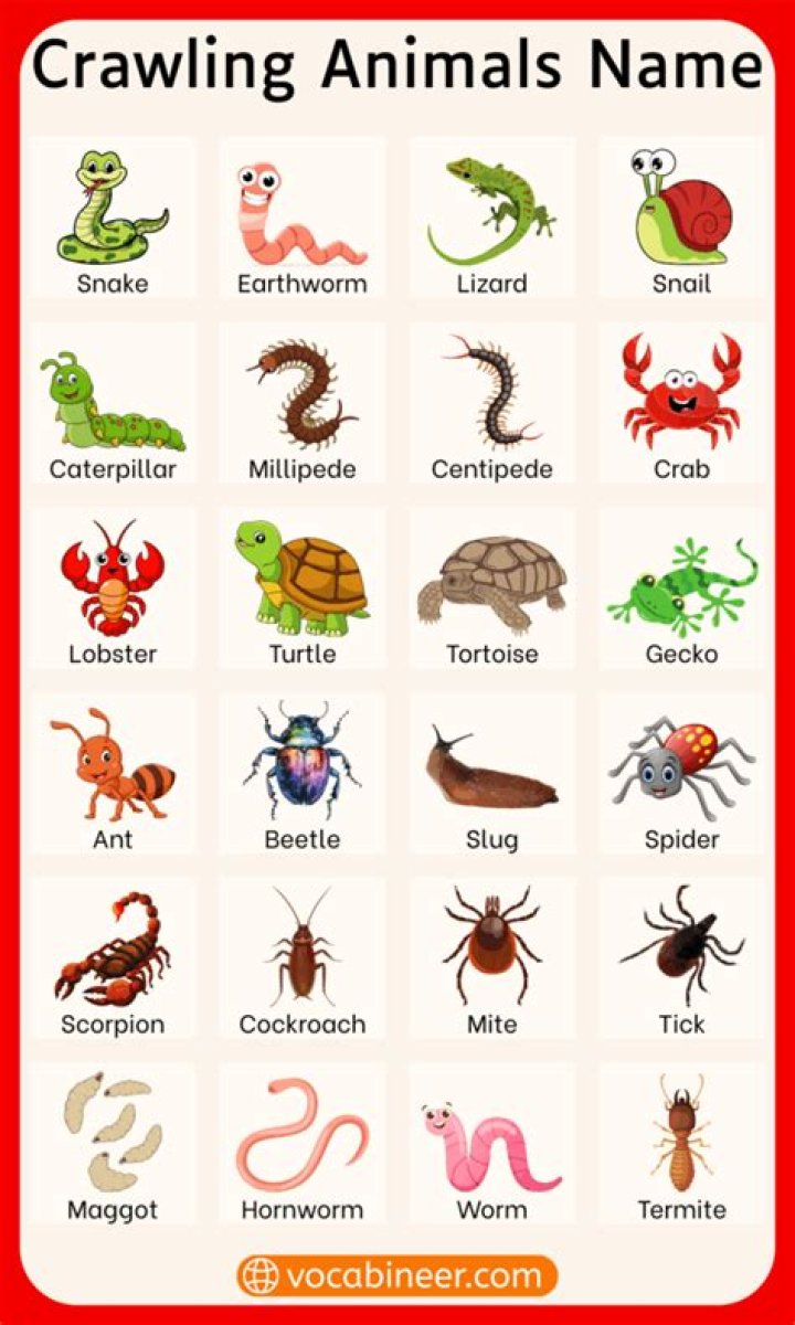 Crawlers List PDF: Free Downloadable Crawler Directory