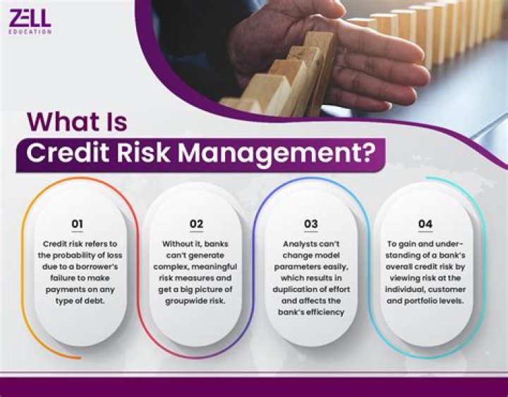 Master Credit Risk Management & Analysis: Comprehensive PDF Guide