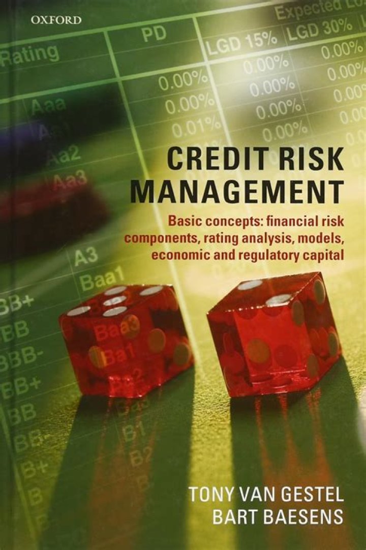 Credit Risk Management Basic Concepts: Essential PDF Guide