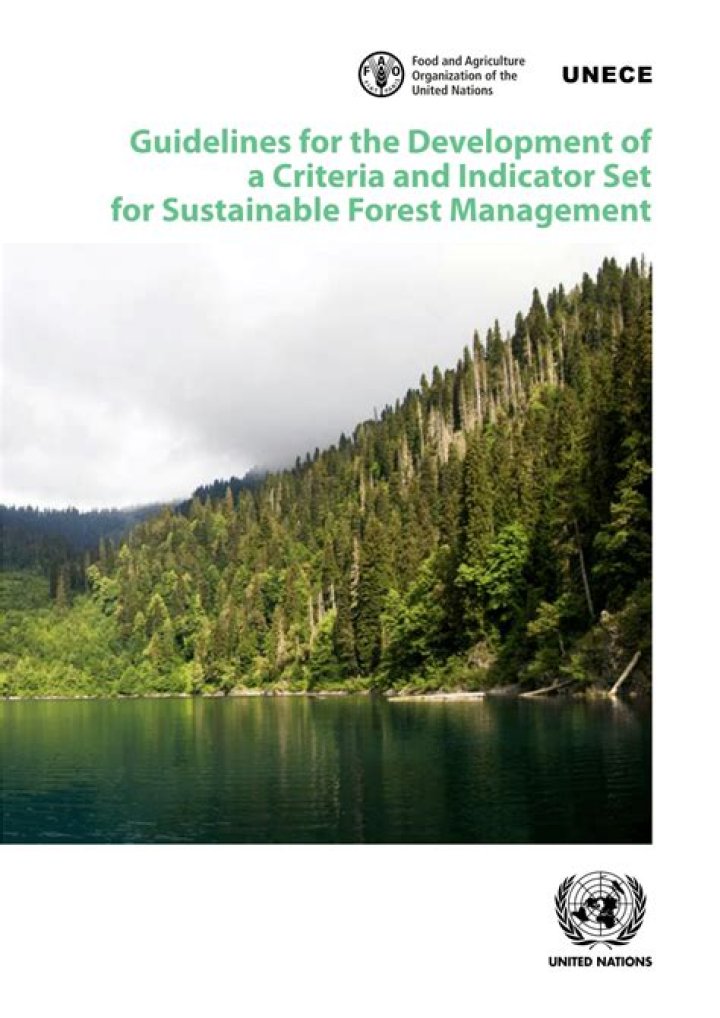 Critical Criteria and Indicators for Sustainable Forest Management PDF Guide