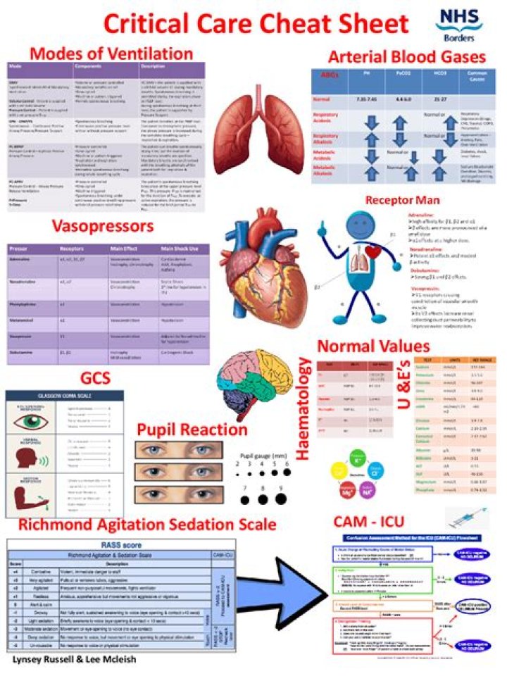 Critical Care Cheat Sheet PDF: Essential Guidelines for Emergency Care