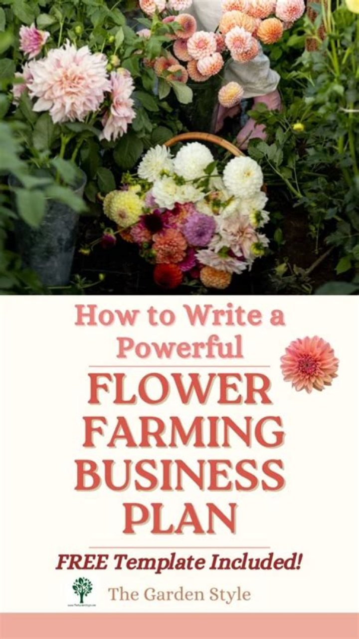 Beginner’s Guide: Cut Flower Business Plan PDF for Profitable Startup