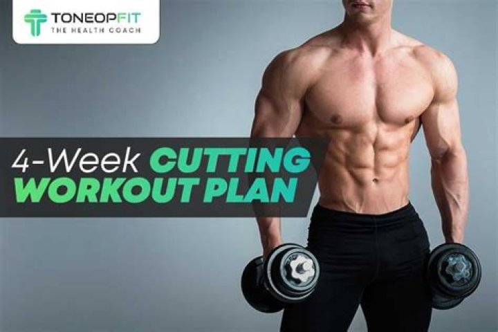 Cutting Workout Plan PDF Free – Get Instant Access