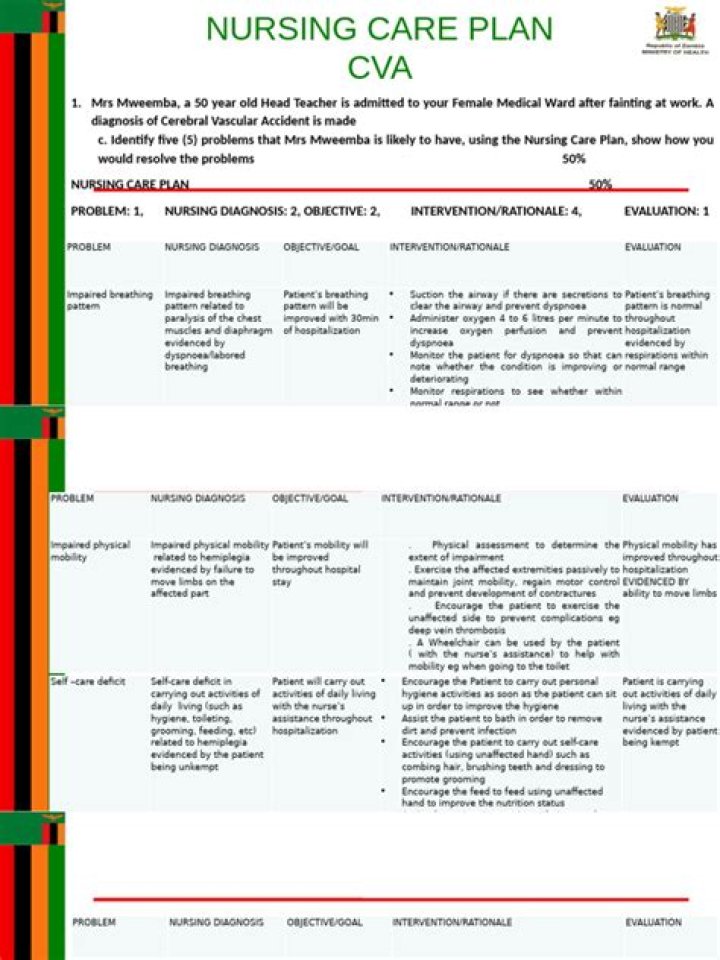 CVA Nursing Care Plan PDF: Essential Guide for Patient Safety