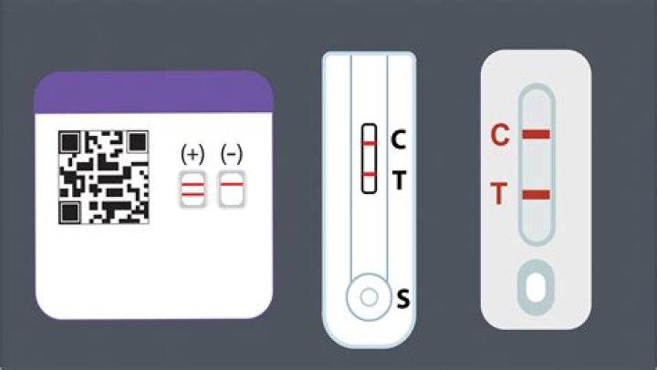 Covid Negative Test Results PDF from CVS – Verified & Up-to-Date
