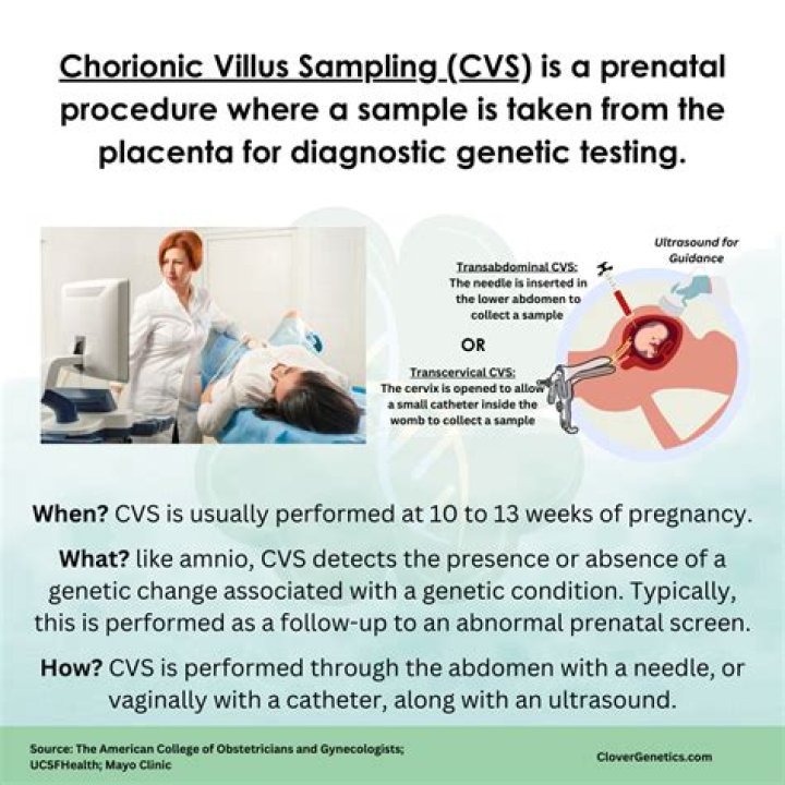 CVS Pregnancy Test Instructions PDF: Clear Step-by-Step Guide