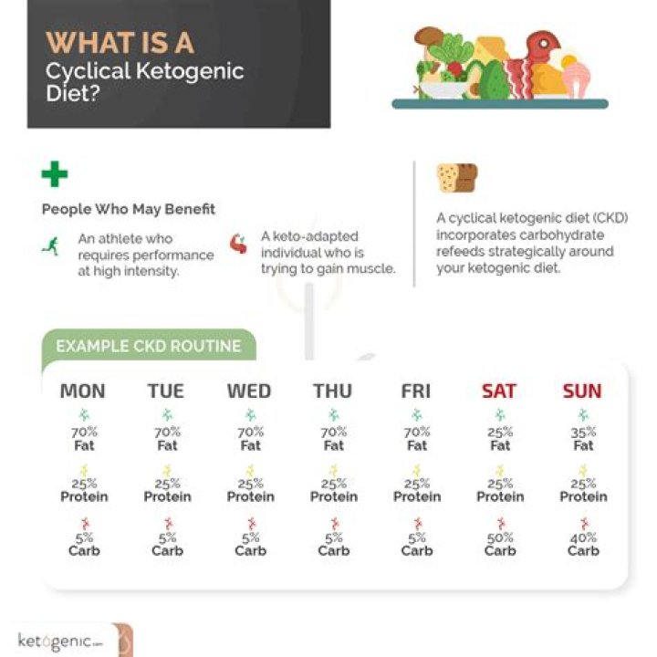 Cyclical Ketogenic Diet Plan PDF – Maximize Fat Loss & Energy