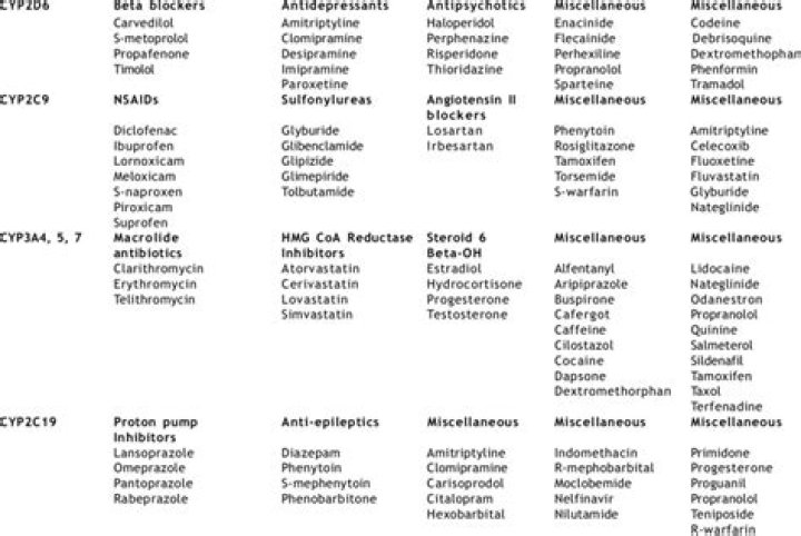 CYP3A5 Poor Metabolizer Drug List PDF: What You Need to Know
