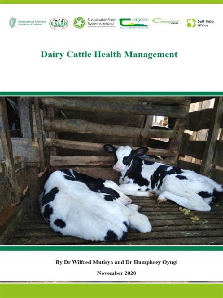 Comprehensive Dairy Cattle Health Management PDF Guide