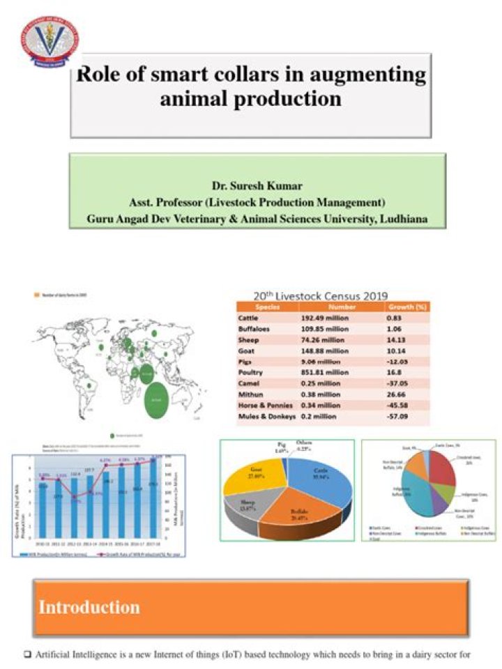 Expert Dairy Cow Management PDF Guide