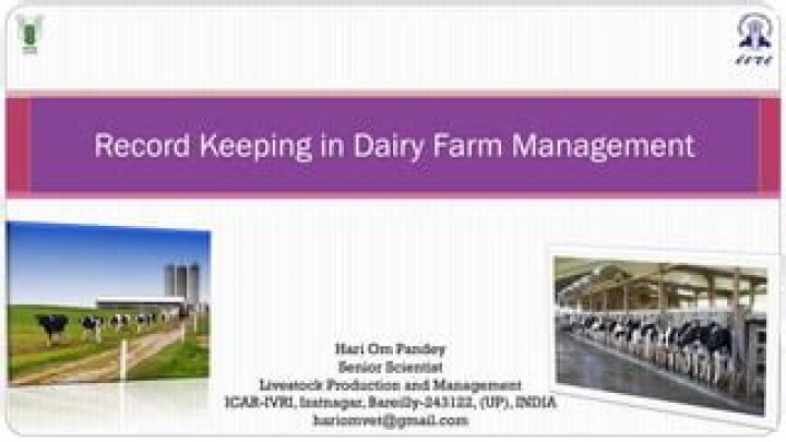 Essential Dairy Farm Management PDF Guide for Efficient Operations