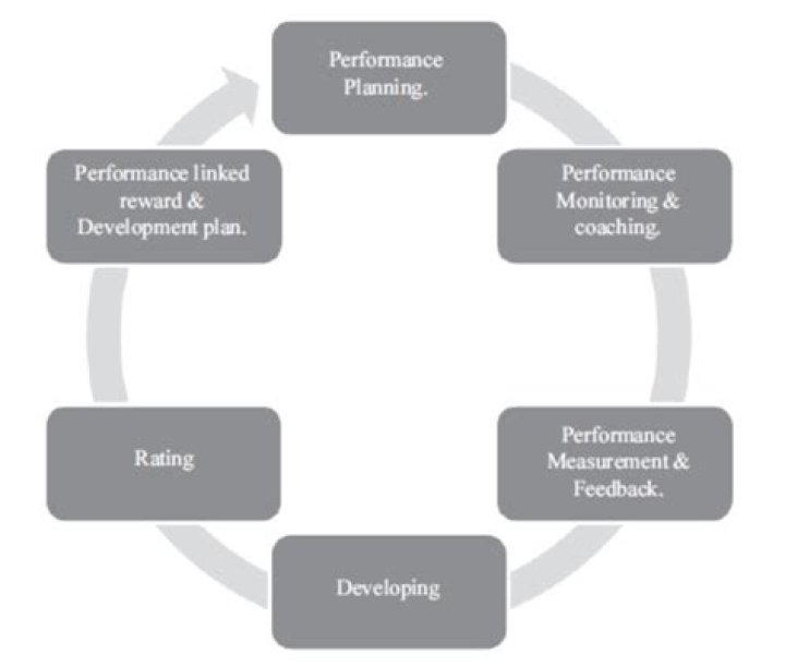 Daniels and Bailey Performance Management PDF: Proven Strategies for Success