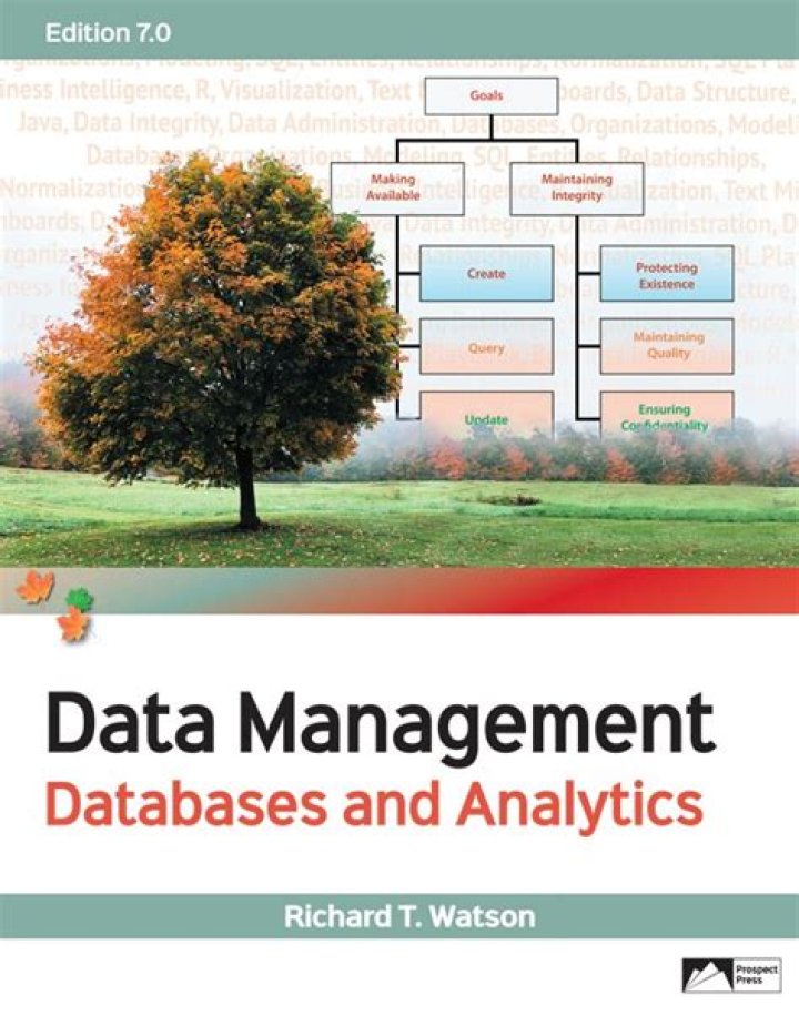 Mastering Data Management Databases and Organizations: A Comprehensive PDF Guide