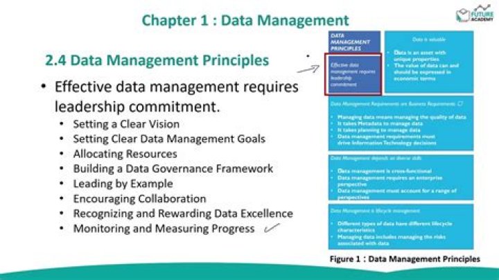 Master Data Management Principles: Essential PDF Guide