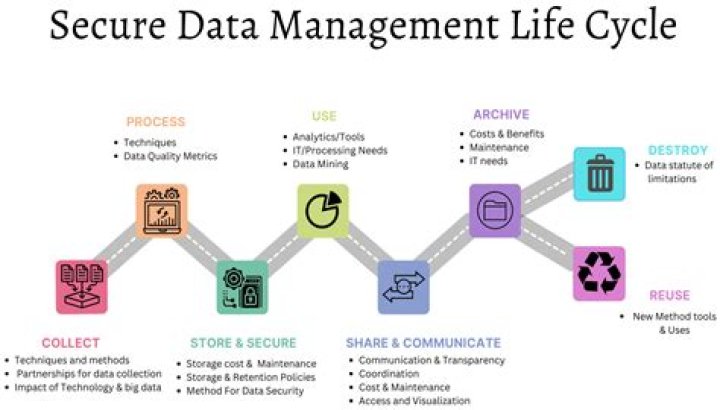 Efficient Data Management Process PDF Guide