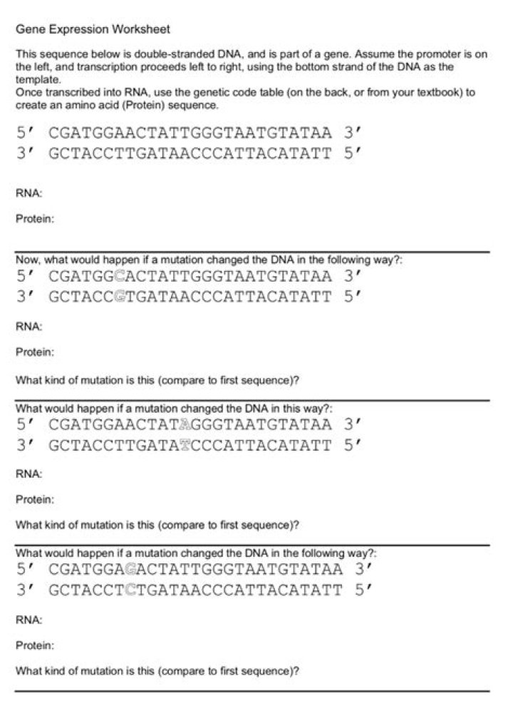 Data Nugget: Gene Expression in Stem Cells Answer Key PDF