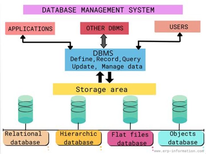Comprehensive Guide to Database Management System DBMS PDF