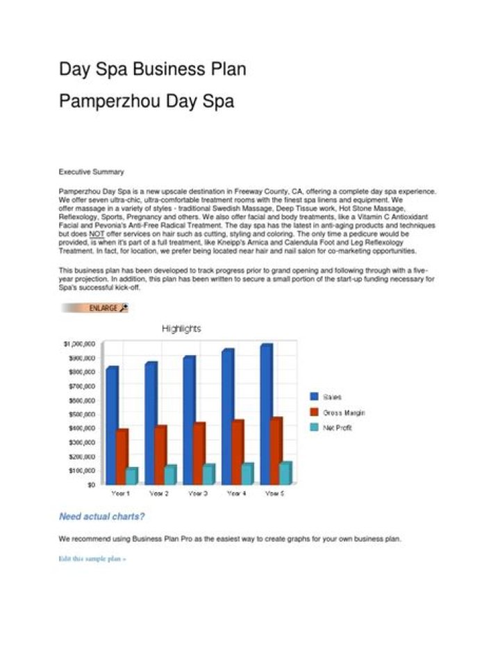 Day Spa Business Plan PDF: Build Your Success in 7 Days