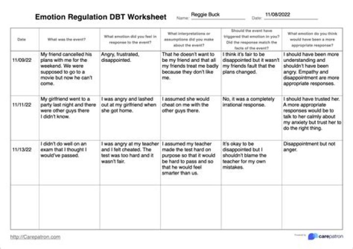 Free DBT Emotion Regulation Worksheets PDF for Instant Download