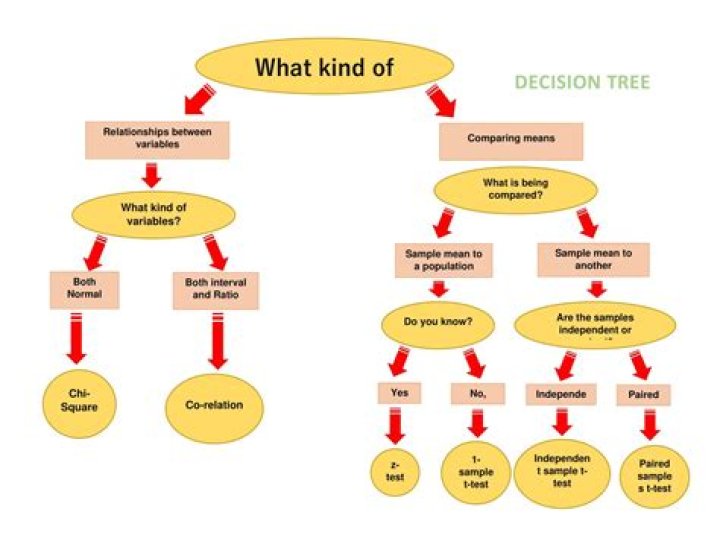 Decision Tree Questions and Answers PDF: Master Decision-Making Skills