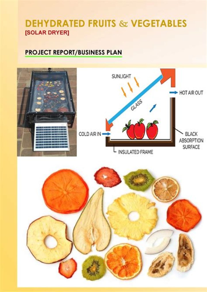 Build a Profitable Business with Dehydrated Fruits and Vegetables – Business Plan PDF
