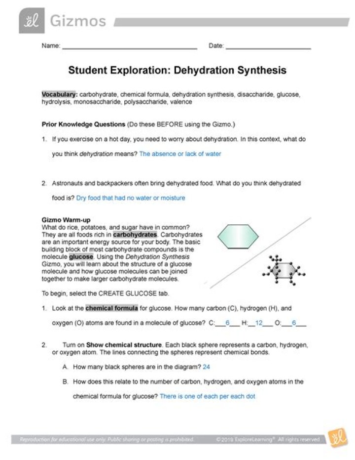 Dehydration Synthesis Gizmo Answer Key PDF – Instant Student Resource