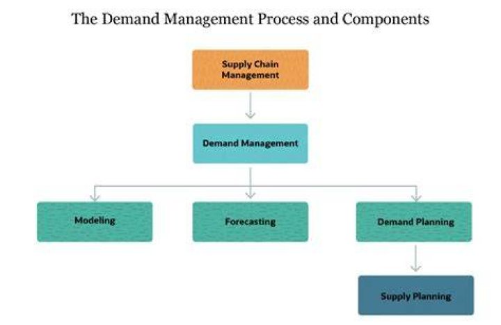 Mastering the Demand Management Process: A Comprehensive PDF Guide