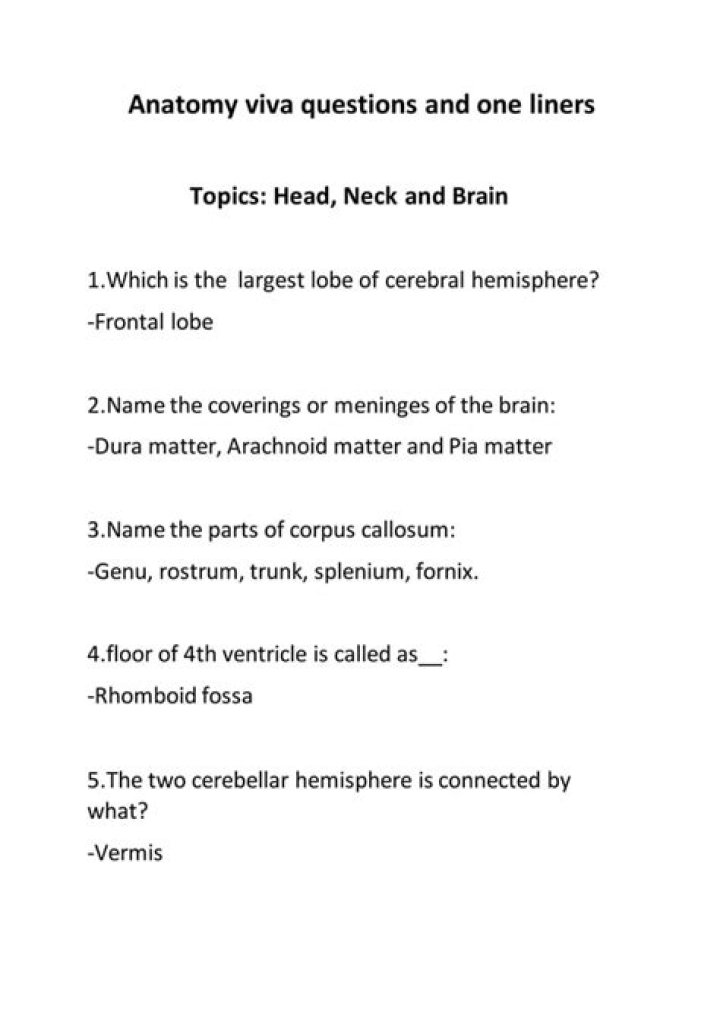 Essential Dental Anatomy Viva Questions PDF for Students