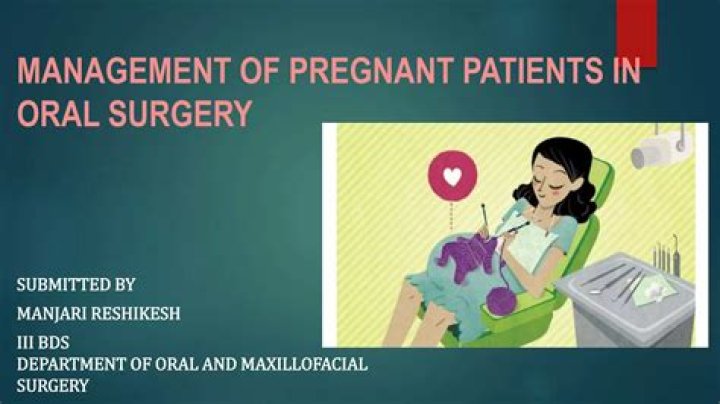 Essential Dental Management of Pregnant Patients PDF Guide