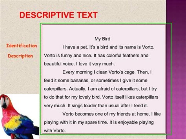 descriptive text