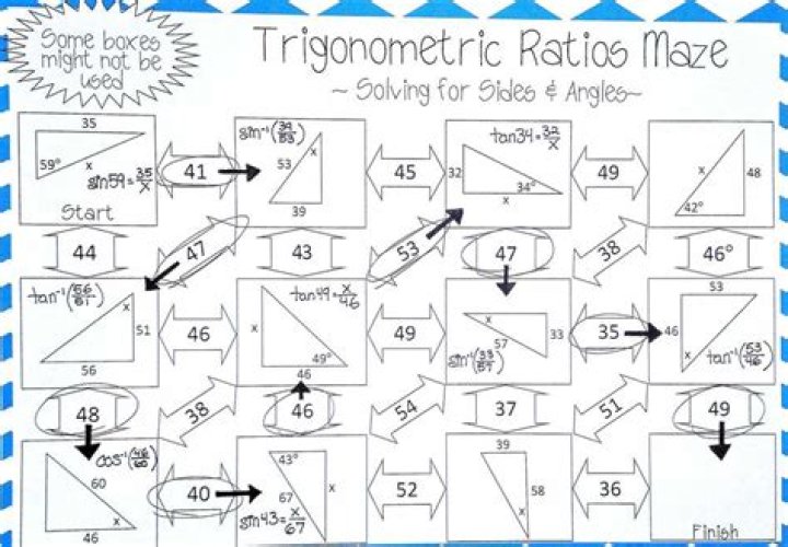 Design a Zoo Geometry Project: PDF Answer Key & Step-by-Step Guide